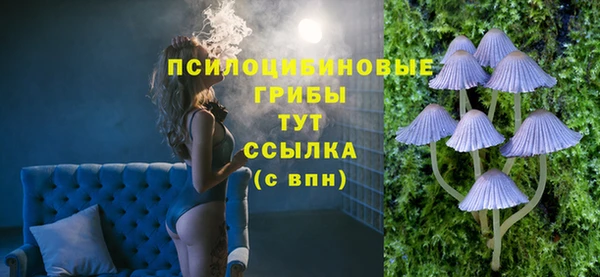 твердый Усмань