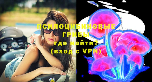 бутират Богданович