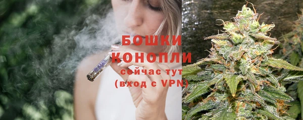 шишки Богородск