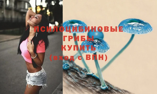 твердый Усмань
